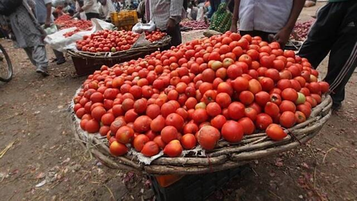 Tomato prices likely soften in next 2-3 weeks as supplies from hilly states commence