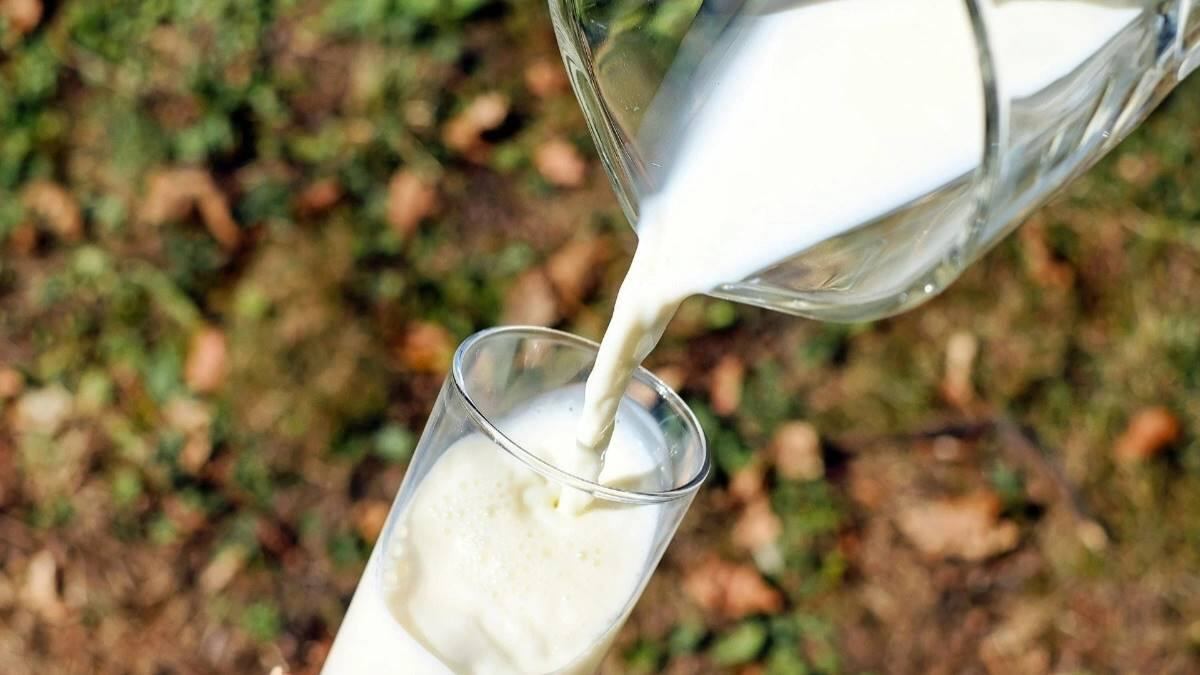 No shortage: Import of milk products ruled out