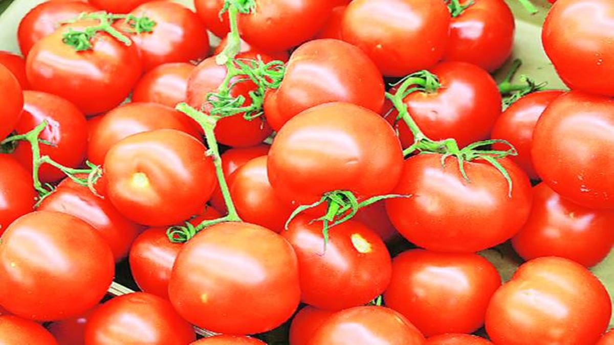 Retail tomato prices further shoot up to Rs 155/kg; highest in Kolkata among metros