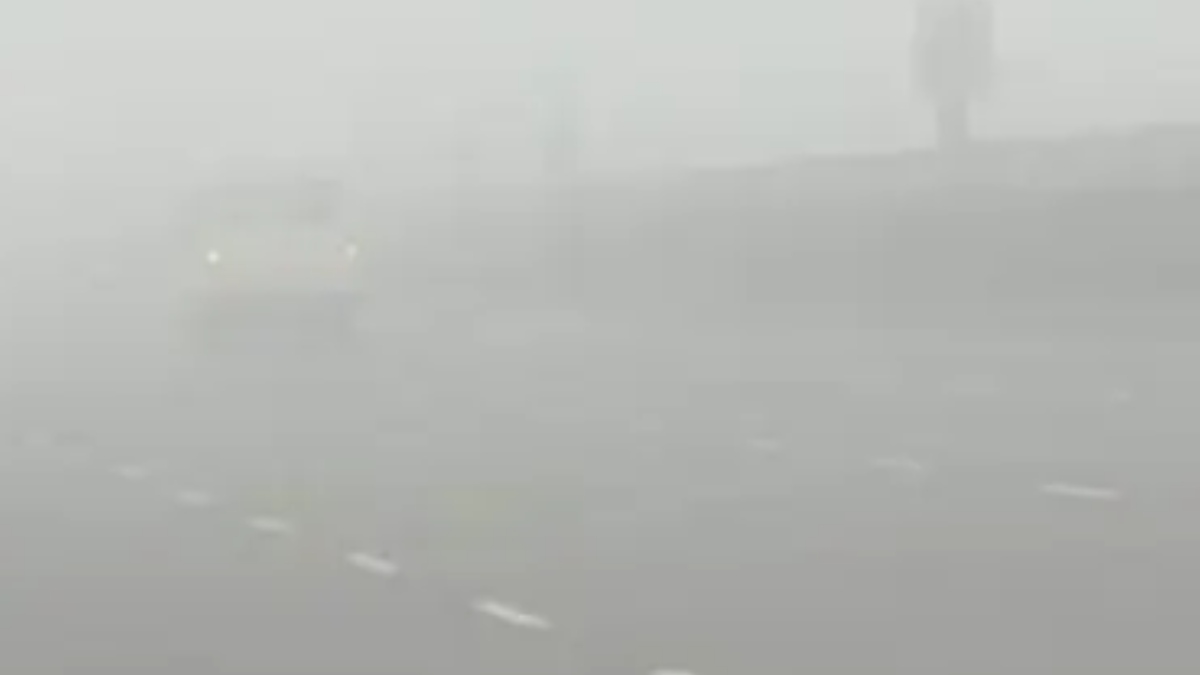 Highway safety amid foggy winters! NHAI implements measures to combat fog