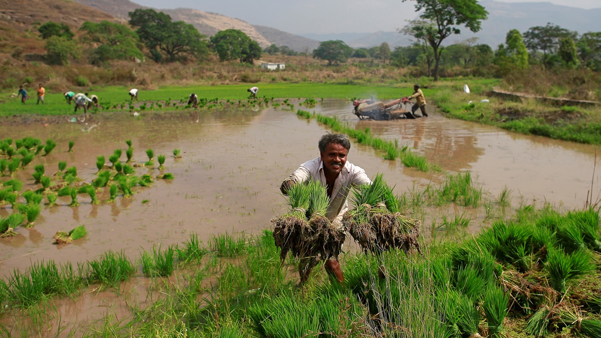 “Farm-gate trade” on e-NAM portal picks up; Overall trade on digital platform up 3% on year to Rs 57,633 crore