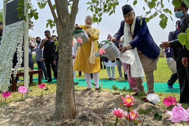 Prime Minister Narendra Modi and Nepal PM Sher Bahadur Deuba watered the Bodhi tree sapling from Bodh Gaya which was gifted by Modi to Lumbini in 2014. (PTI Photo)