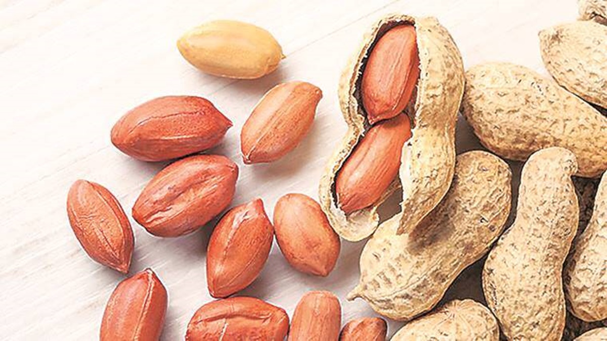 NCDEX to resume groundnut futures trade next week