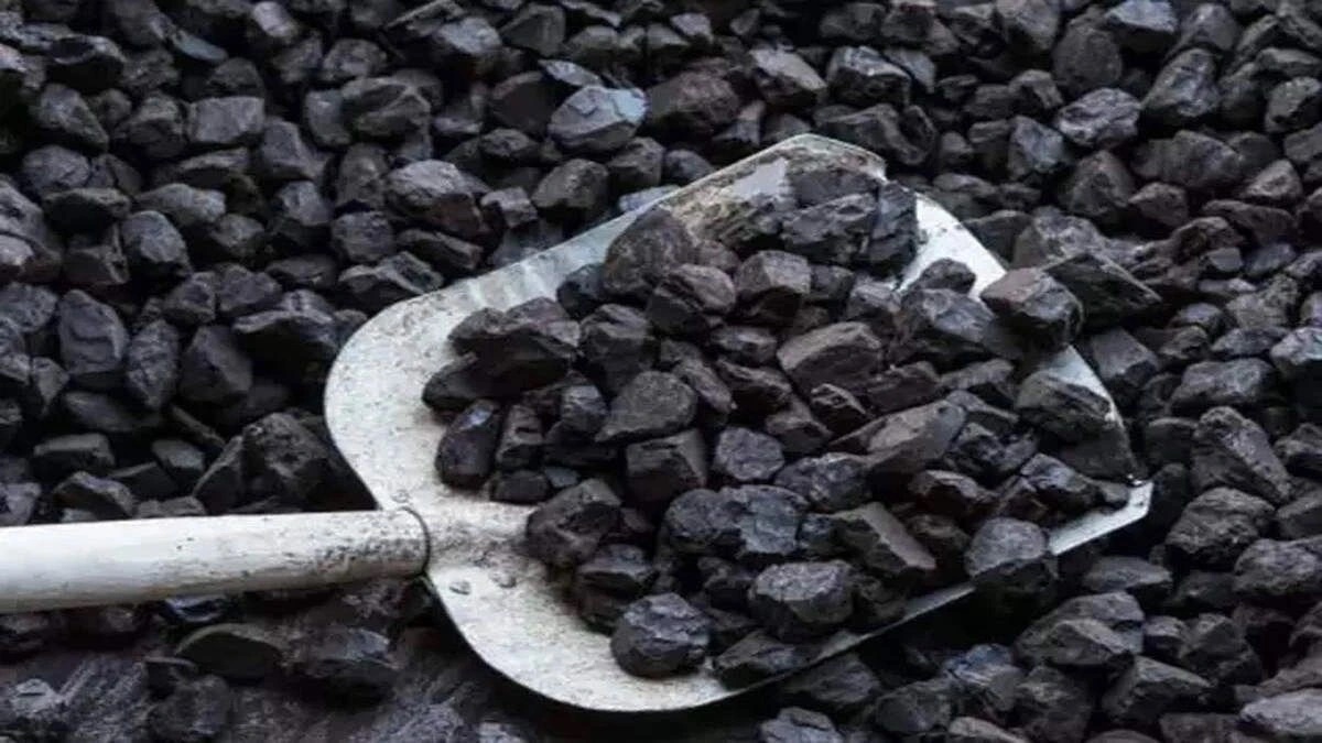 Institutions lap up Coal India shares with bids worth Rs 6,500 cr; govt exercises green shoe option