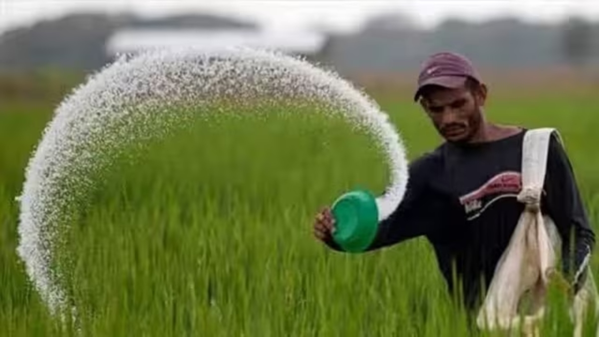 Rabi area down 2.5%, sowing in last leg