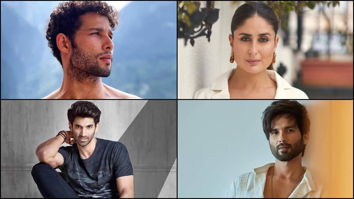 Siddhant Chaturvedi to Aditya Roy Kapur: Top 4 OTT performers of 2023