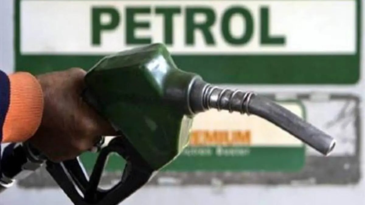 Petrol and Diesel Rate Today, 20 May: Some cities see revision; Check rates in Delhi, Mumbai, other cities